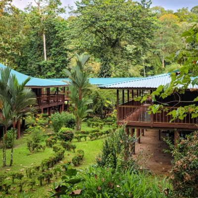 Two elevated buildings with wooden walkways surrounded by trees and other vegetation