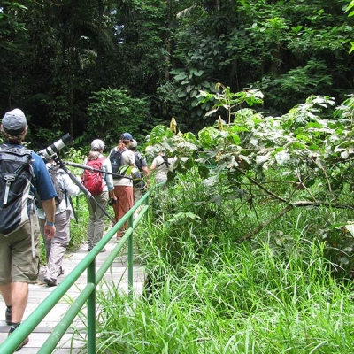 A group of people on a wooden walkway with high grass and forest on both sides