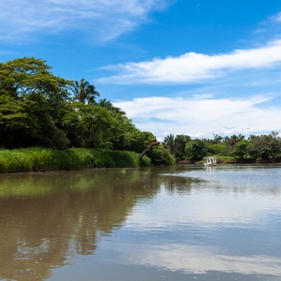 Boat ride along the Sarapiquí River