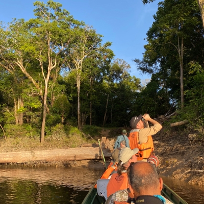 Birding by boat in the Amazon