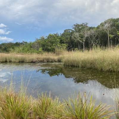 Landscape near Inírida, Colombia