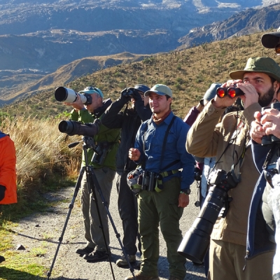 Group of people bird watching in the mountains of Colombia