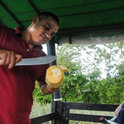 A seated person smiles and watches as a standing person uses a large knife to demonstrate trimming a pineapple fruit