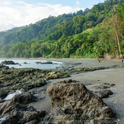 Views of the beach in Corcovado National Park