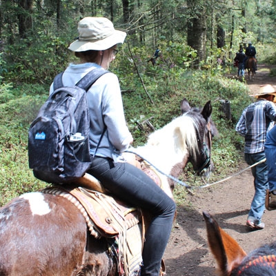 Two trip participants riding on horses