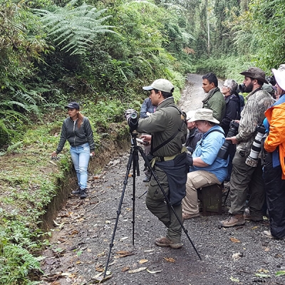 A group of about a dozen people with cameras and a scope stand on a gravel path looking offtrail into the bushes
