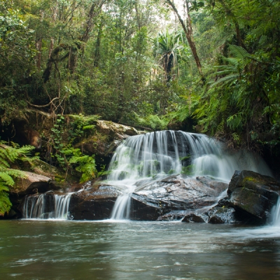 Waterfall in Ranomafana 