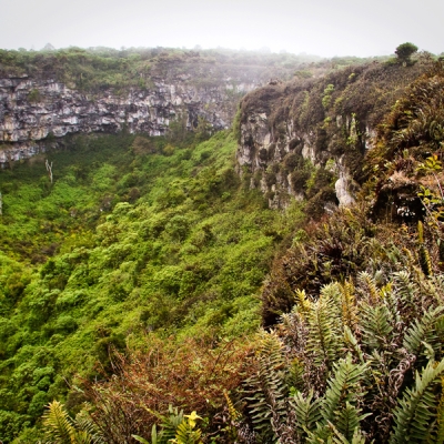 Views of the lush landscapes of Twin Craters