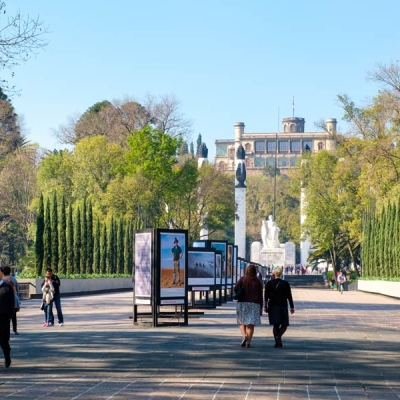 A few groups of tourists walk in and out of a wide gate leading to plants and a large statue in the distance