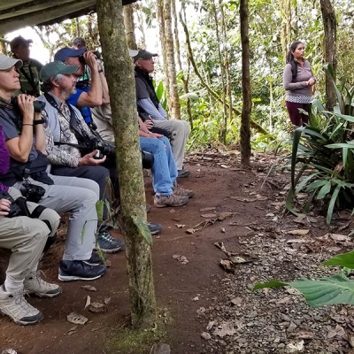 People hold binoculars and sit on a wooden bench looking toward some shrubbery