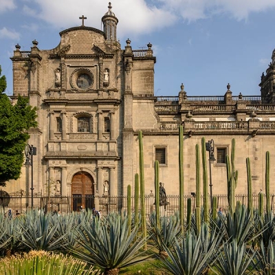 The exterior facade of a cathedral with a cactus garden in the foreground