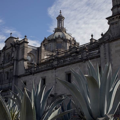 An angled view of the exterior facade of a cathedral with succulents in the foreground