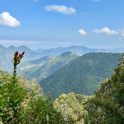 Mountainous landscape with vegetation in the foreground