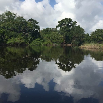 Lagoon with trees and long grasses on the far shore
