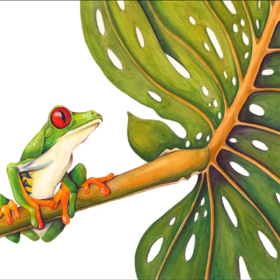 Illustration of a red-eyed tree frog sitting on the stem of a monstera leaf