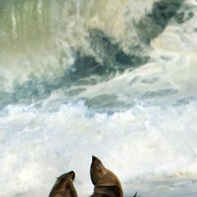 A group of seals lay on a sandy beach with a large crashing ocean wave in the background