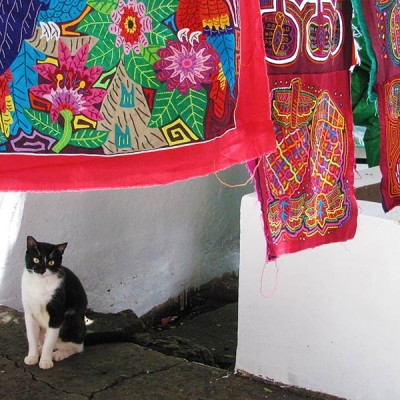 A cat sits under several colorful mola textiles hanging on display