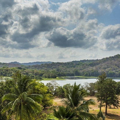 Landscape with palm trees and grass on the near bank of a wide river and tree-covered hills on the far bank
