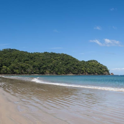 A sandy beach with calm ocean and trees in the background