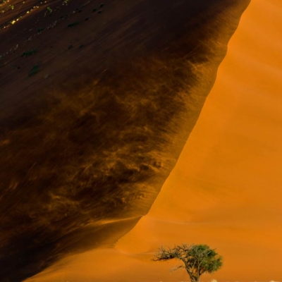 Tight shot of the sharp ridge of a sand dune sloping down to a flat grassy plain with a single tree