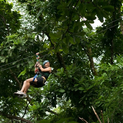 A young person zip lines through the rainforest canopy