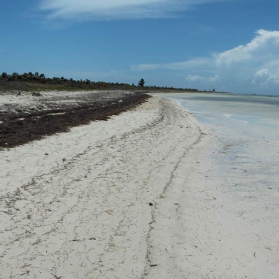 view of sandy beach and shoreline