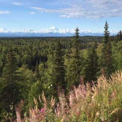 Views of Talkeetna, Alaska