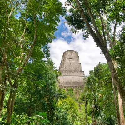 Mayan ruins of Tikal nestled in the forest
