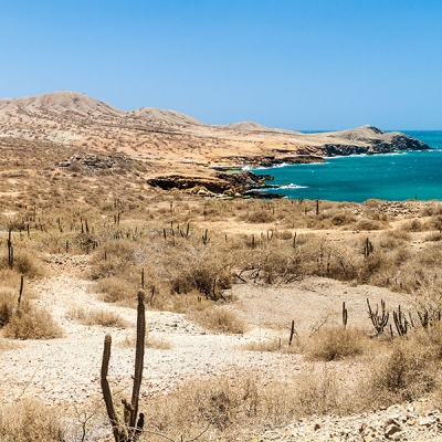 A sandy, desert-like landscape with cactuses and sparse, shrubby vegetation with ocean in the background