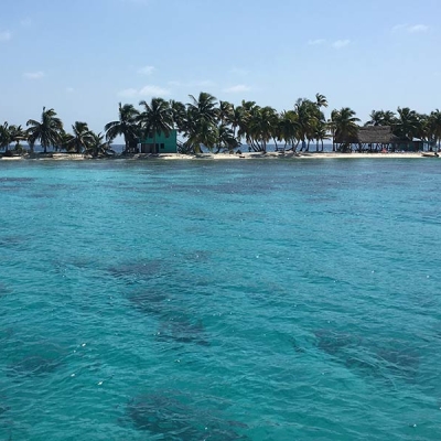 Shallow water and a thin strip of beach in the distance with palm trees and a few small buildings