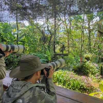 Two people point cameras at a clearing with vegetation