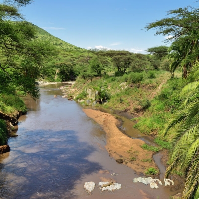 A calm river with muddy banks and vegetation on either side