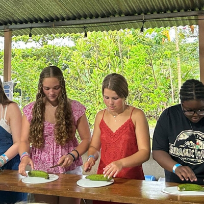 Four girls making food