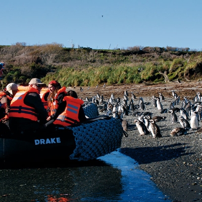 Boat approaching the shore with penguins