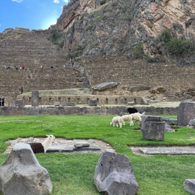 Rock structures with llamas in a field