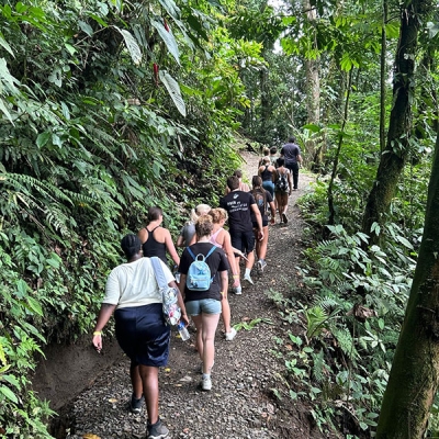 People hiking in a line down a rainforest trail