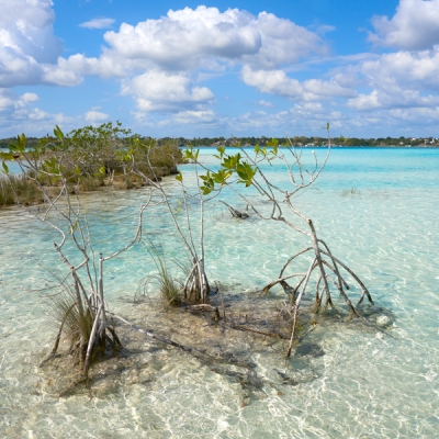 Views of crystalline Bacalar Lagoon in Mexico