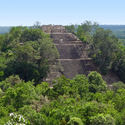 Calakmul archaeological site nestled in the Mayan Forest in Mexico's Yucatán Peninsula