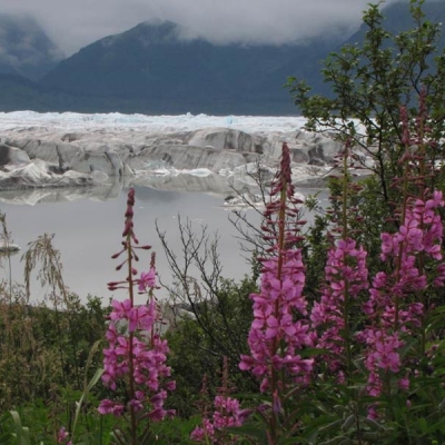 Views of Sheridan Glacier in Alaska