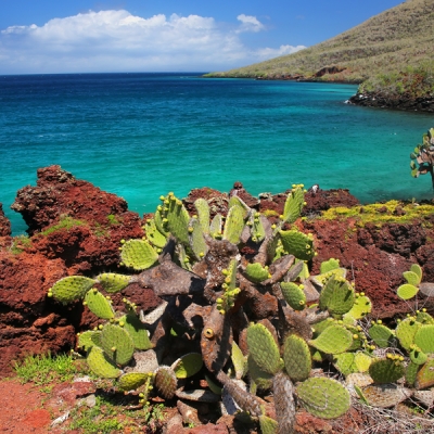 Views of Rábida Island landscapes