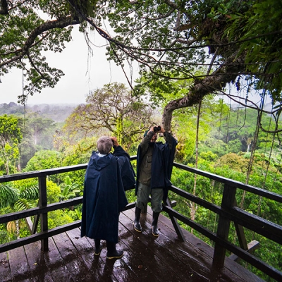 Two people use binoculars on an elevated wooden platform in the rainforest