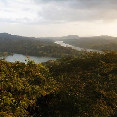 Birding in Gamboa Rainforest