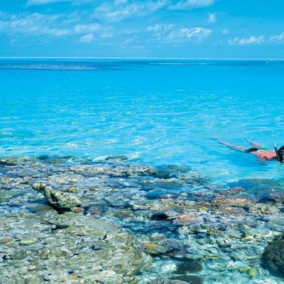 Great Barrier Reef 