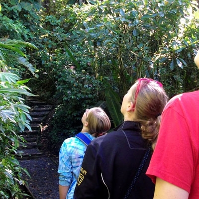 Students on a Rainforest hike 