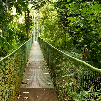 Selva Verde Lodge Bridge