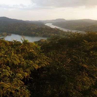 Gamboa rainforest
