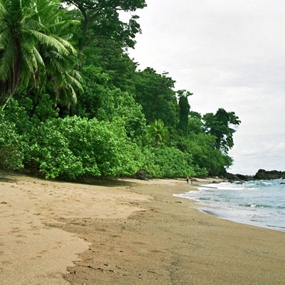 Osa Peninsula