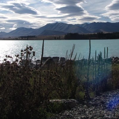 Lake Tekapo