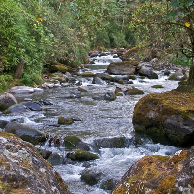River in Savegre