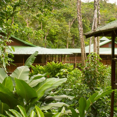 Selva Verde Lodge & Rainforest Reserve located in Sarapiquí Valley